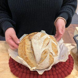 Sourdough Baking Class + Organic Dehydrated Starter